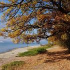 Bei Unteruhldingen am Bodensee