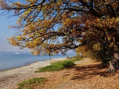 Bei Unteruhldingen am Bodensee