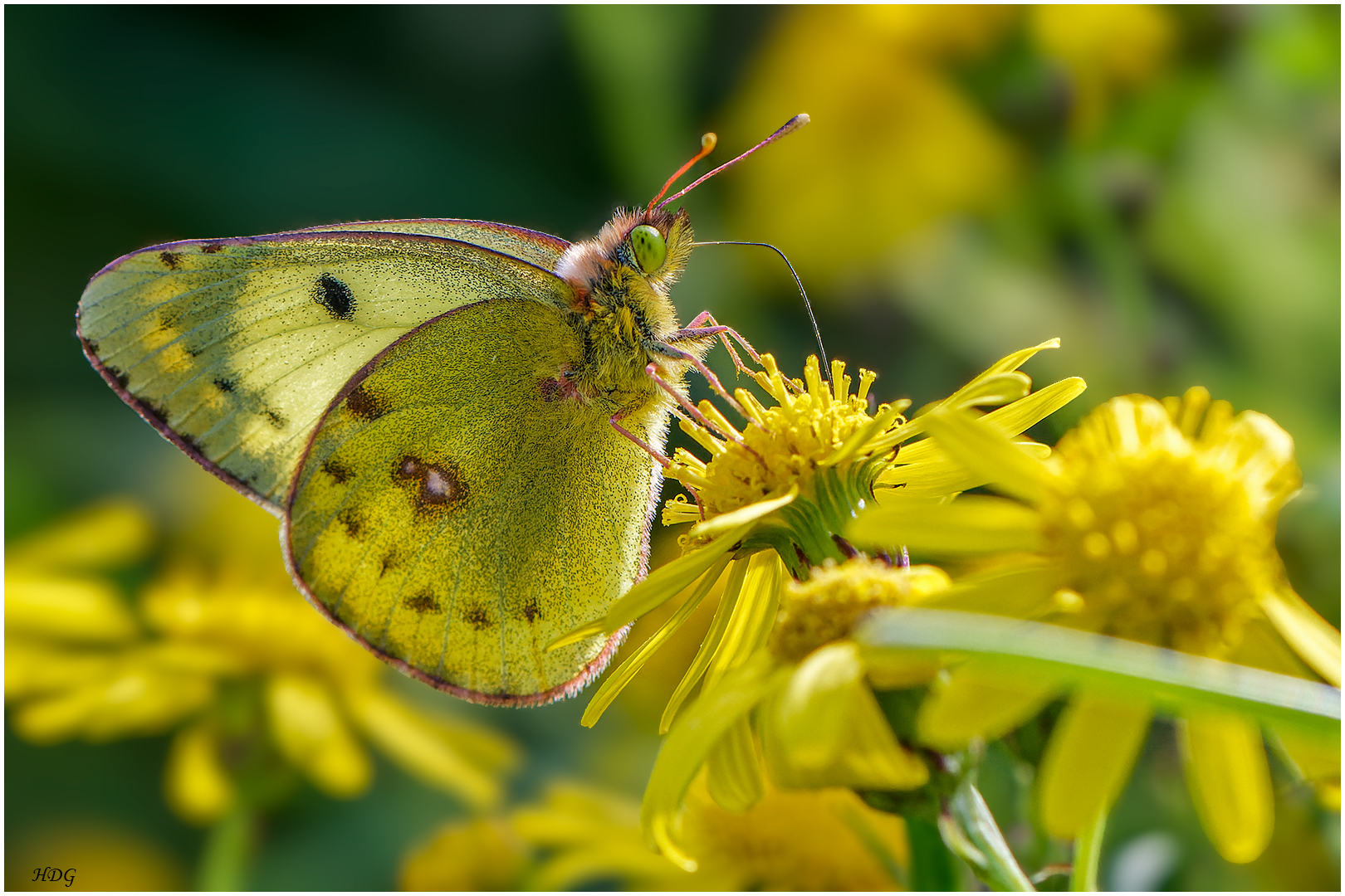 Bei viel Sonne (2) ...