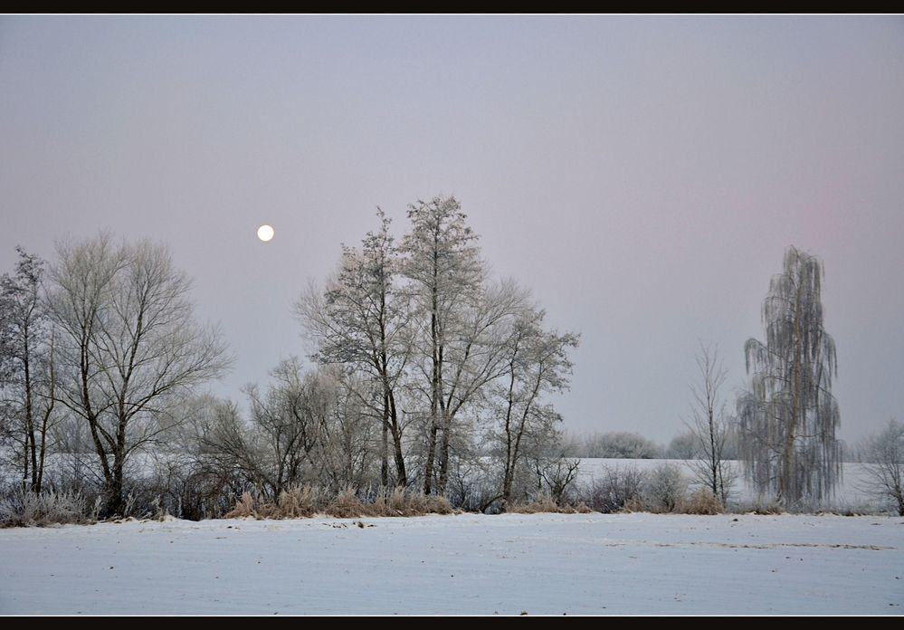 bei Vollmond...