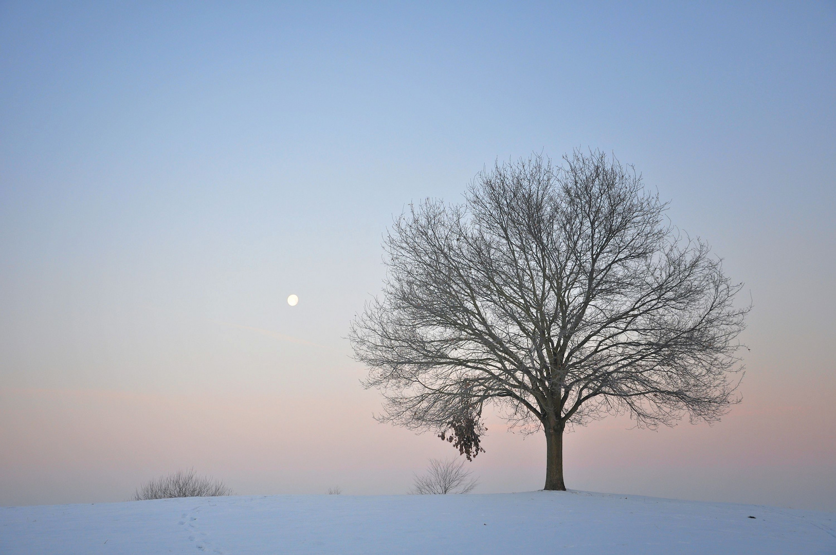 bei Vollmond im Winter