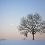 bei Vollmond im Winter