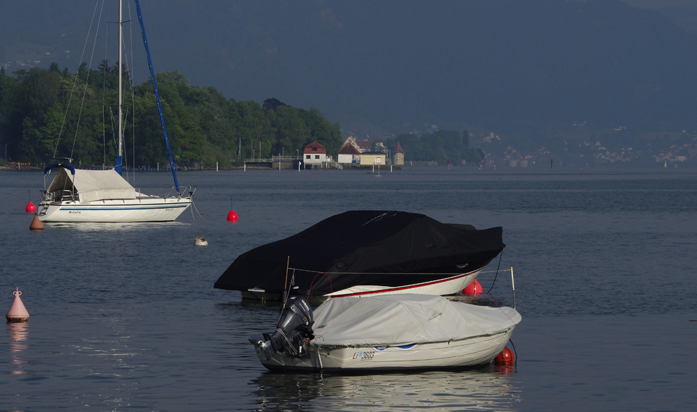 bei Wasserburg am Bodensee...4