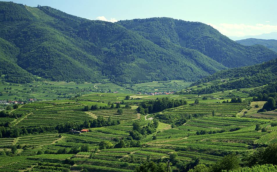 . . „bei Weissenkirchen, . . Wachau“. .