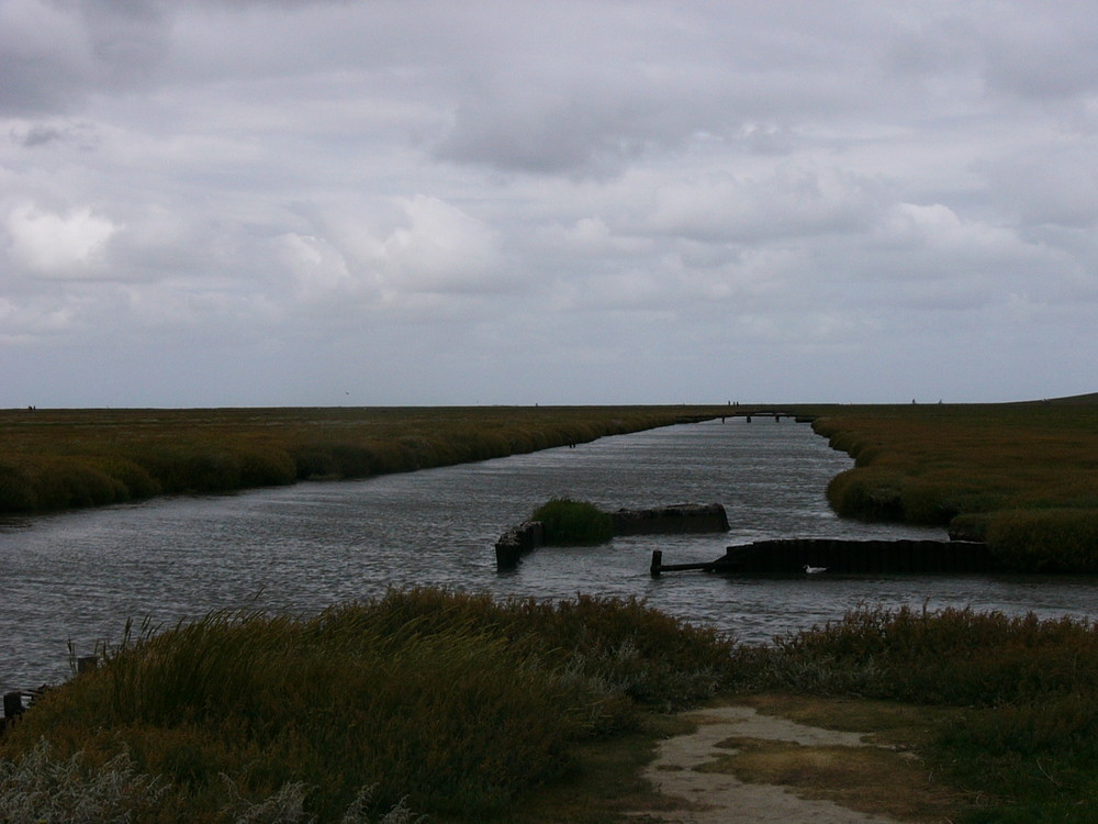 Bei Westerhever