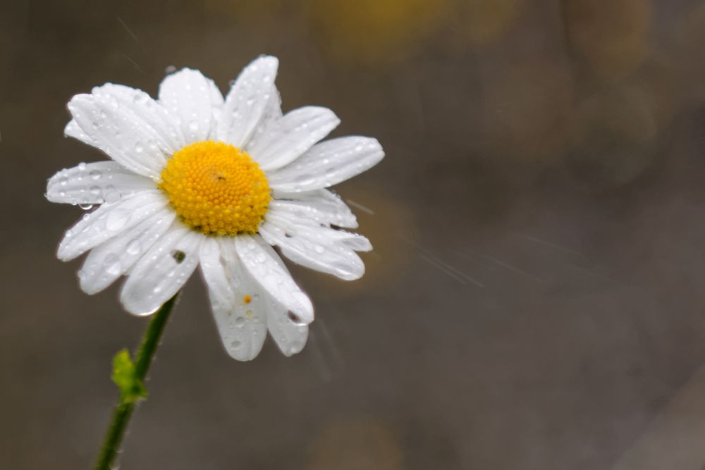 ... bei Wind und Regen