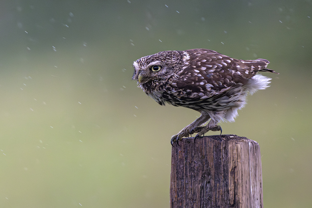 Bei Wind und Regen....