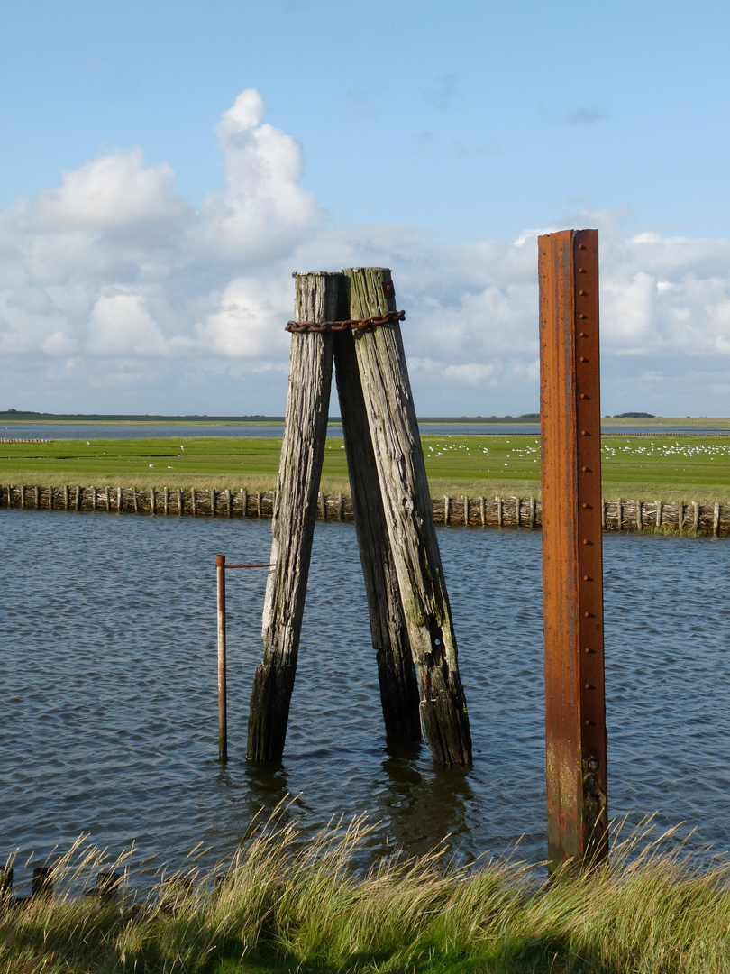 Bei Wind und Wetter