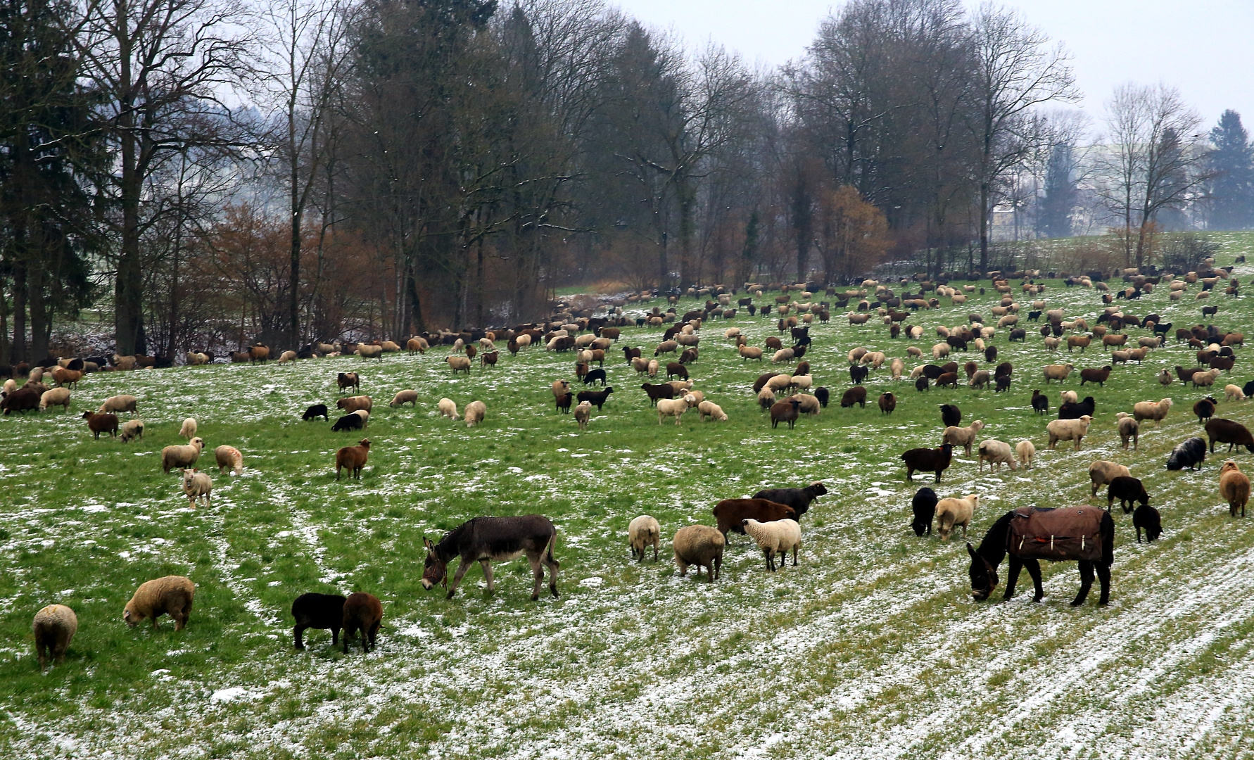 bei Wind und Wetter