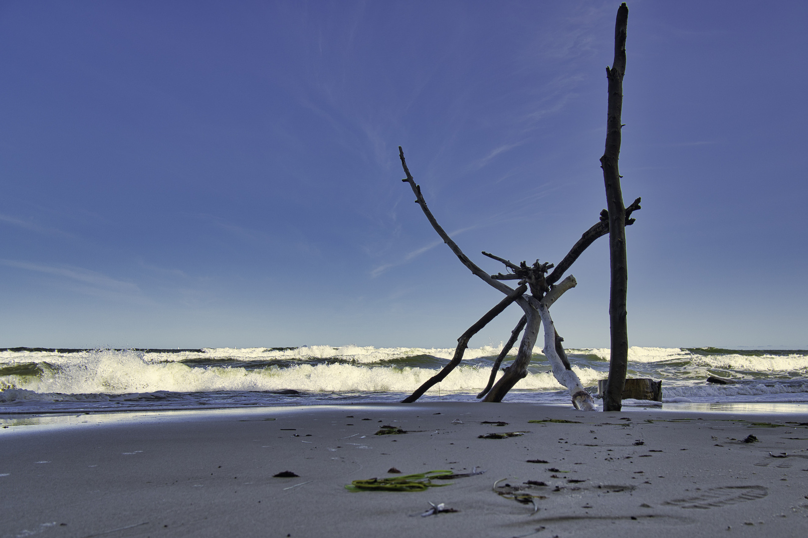 Bei Wind und Wetter! Foto & Bild deutschland, europe, mecklenburg