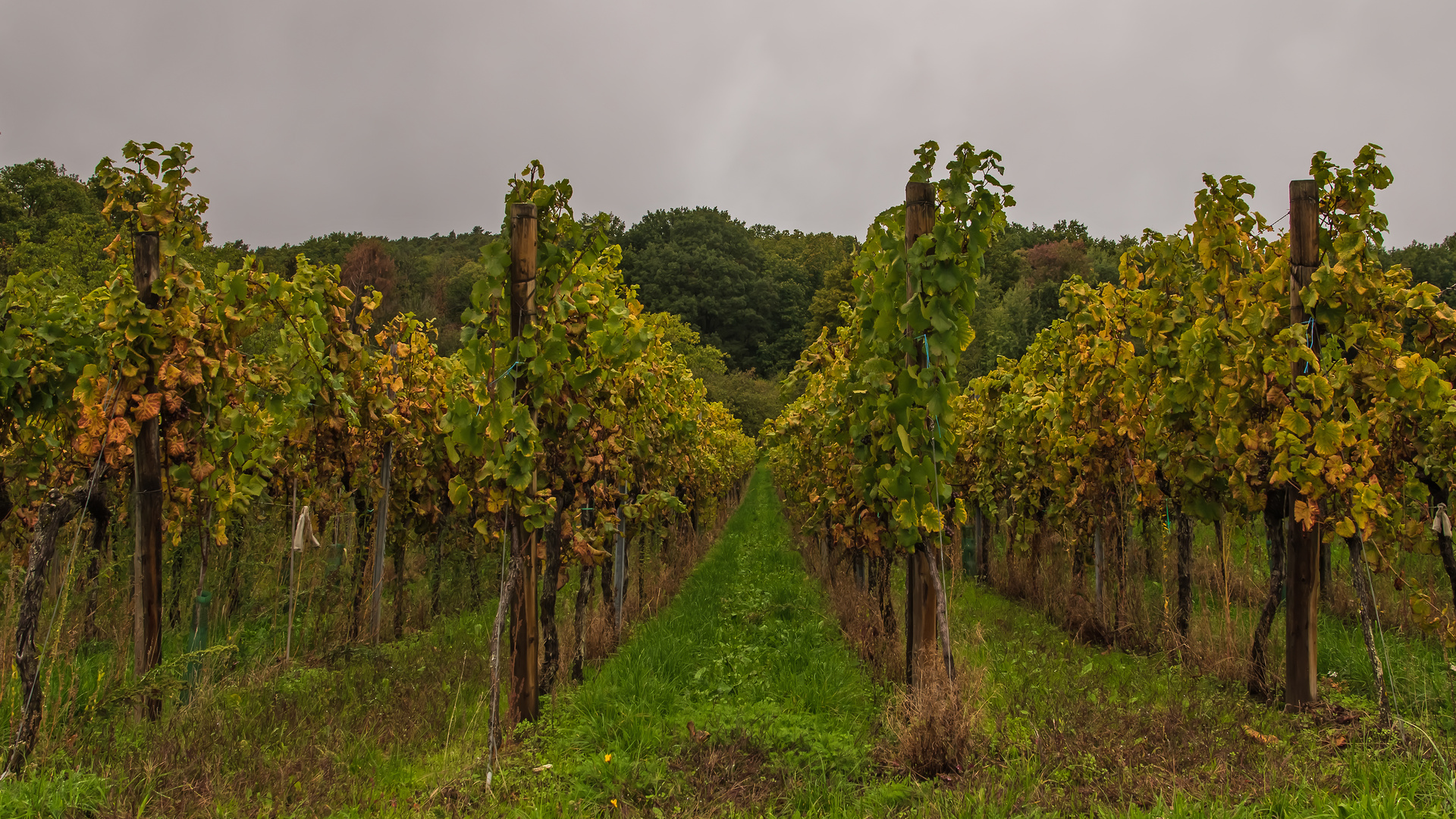 Bei Wind und Wetter in Reih und Glied