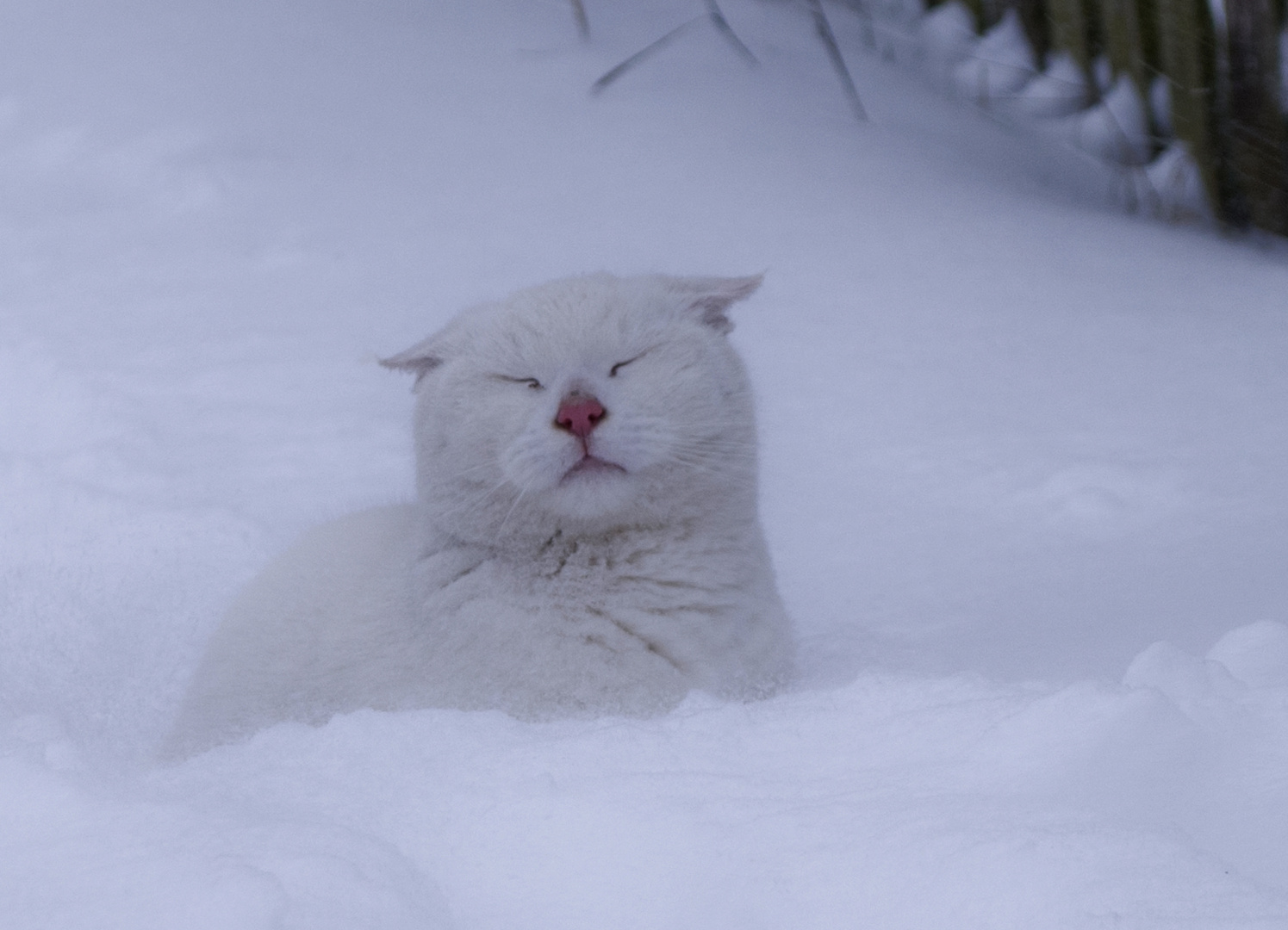 Bei Wind & Wetter im "Tarnmodus" (bald wird's wieder Winter)