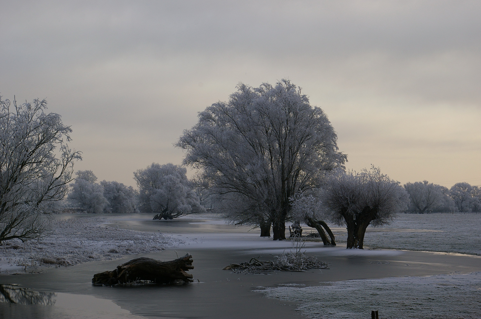 bei Wittenberge am 23.12.2007 - hoffentlich gibt es wieder einen schönen Winter...