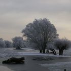 bei Wittenberge am 23.12.2007 - hoffentlich gibt es wieder einen schönen Winter...