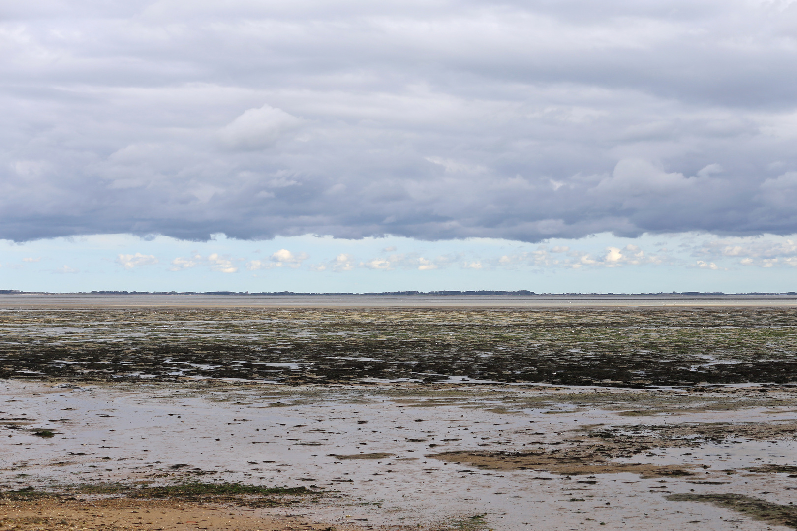 Bei wolkenverhangenem Himmel auf der Wattseite von Amrum