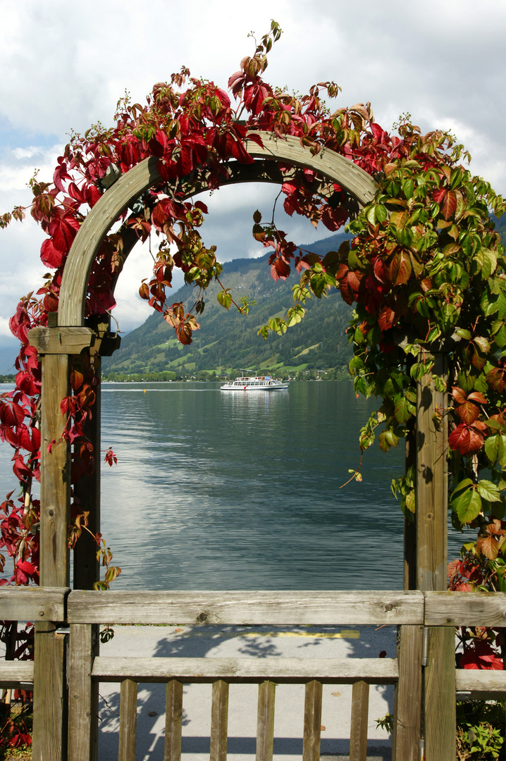 Bei Zell am See