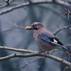 Beib mir bloß vom Leib - das ist meine Nuß