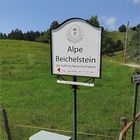 Beichelstein  Alpe 