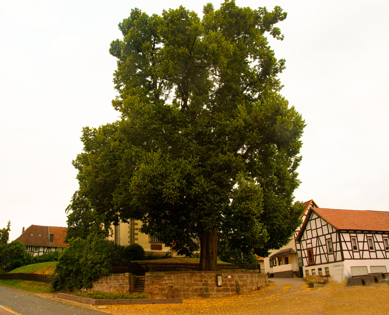 Beienrode Niedersachsen