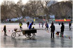 Beijing-hivernale (10)