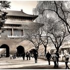 Beijing-hivernale (12)