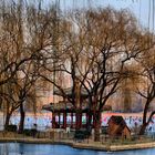 Beijing-hivernale (13)