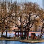 Beijing-hivernale (13)