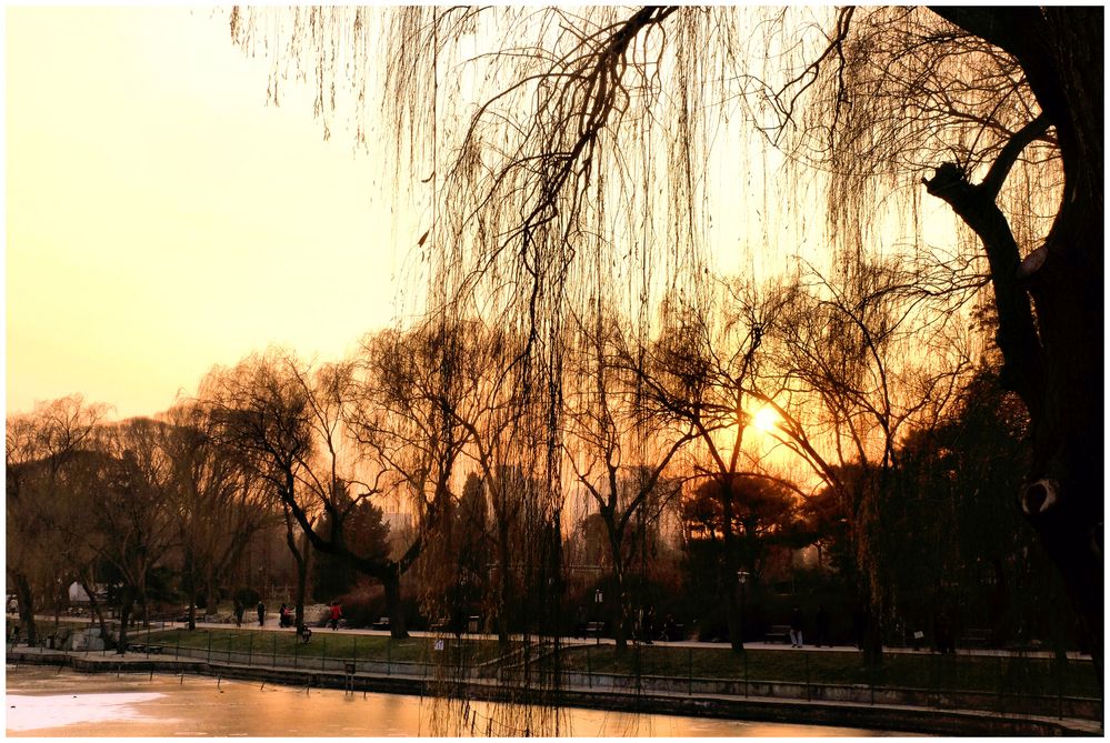 Beijing-hivernale (21)