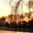 Beijing-hivernale (21)
