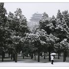 Beijing - snow in march