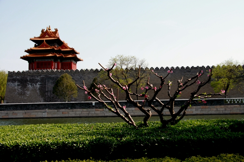 Beijing Spring