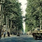 Beijing: Street 1985