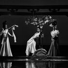 beijing.opera.blues