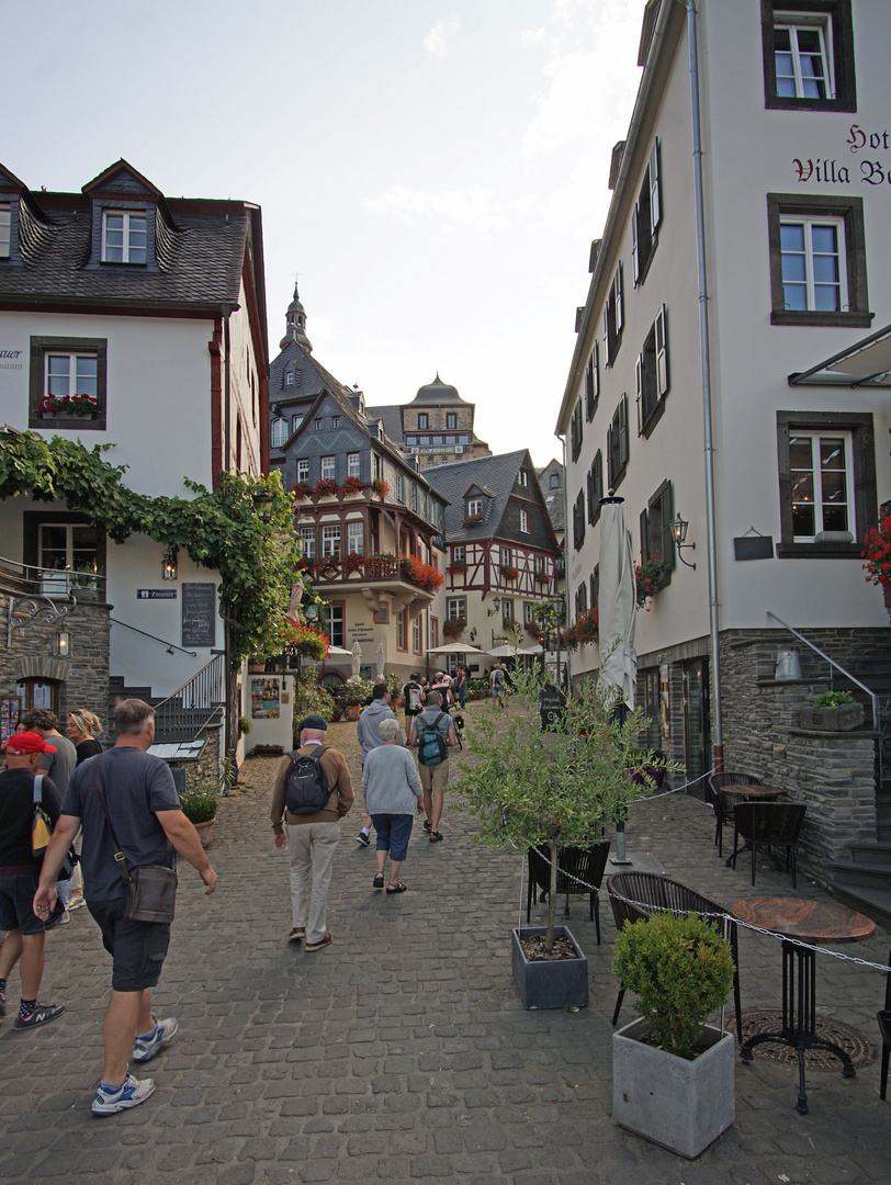  Beilstein