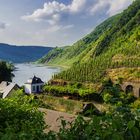 Beilstein- Blick von der Klosterkirche auf die Mosel