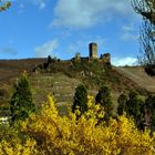 Beilstein im Frühling