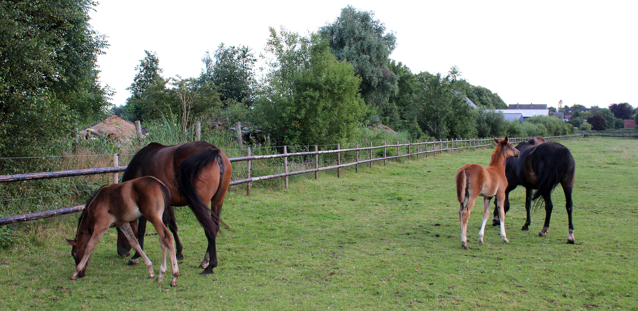 beim Abendbrot ... 