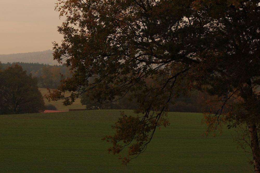 beim Abendspaziergang