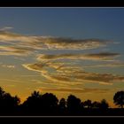 Beim Abendspaziergang