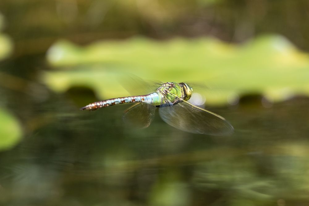 Beim Abflug