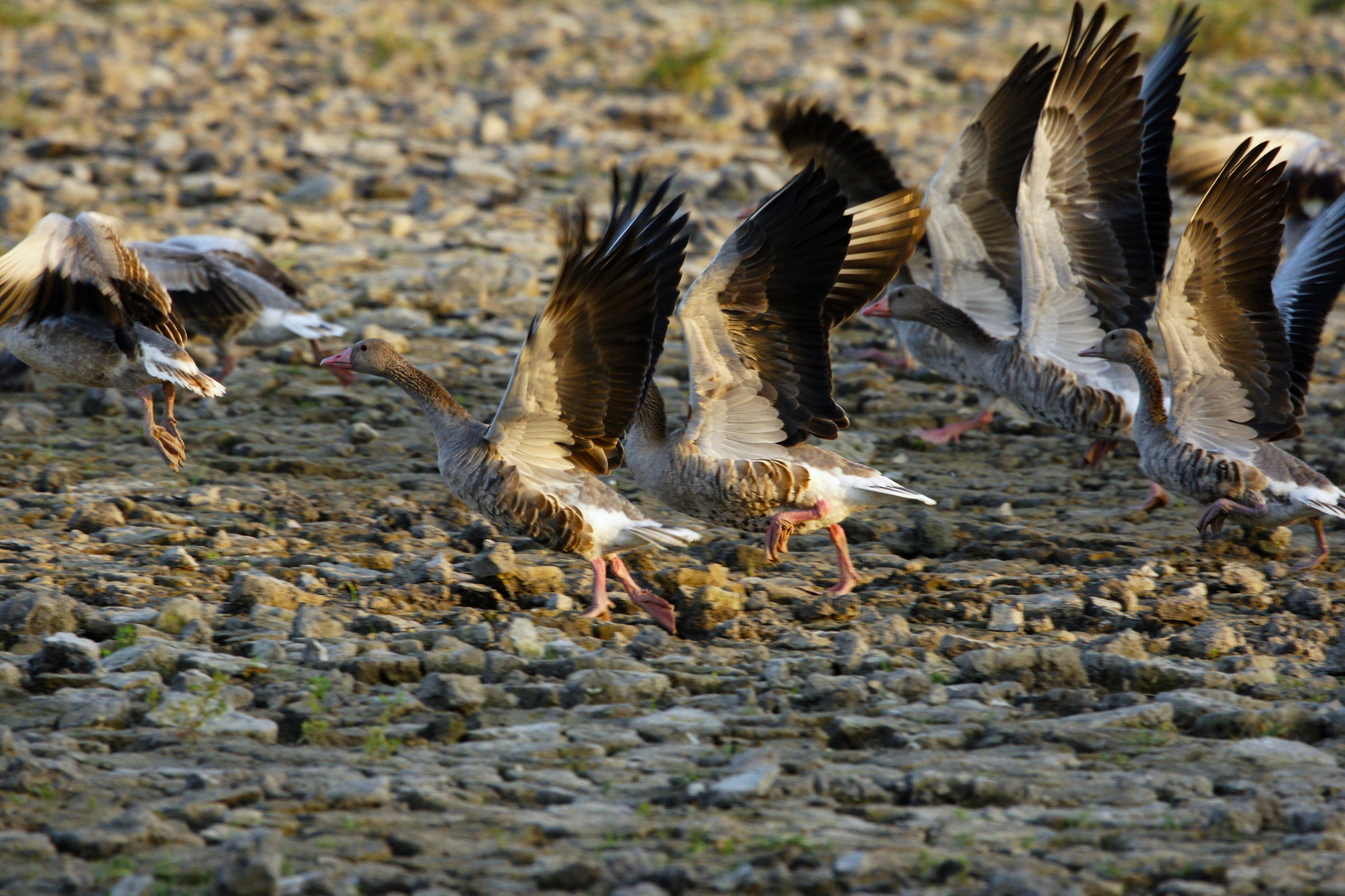 Beim Abflug