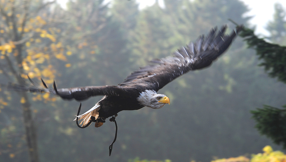 beim abflug....