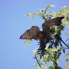 Beim Abflug