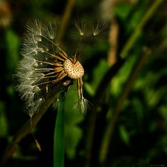 beim abflug