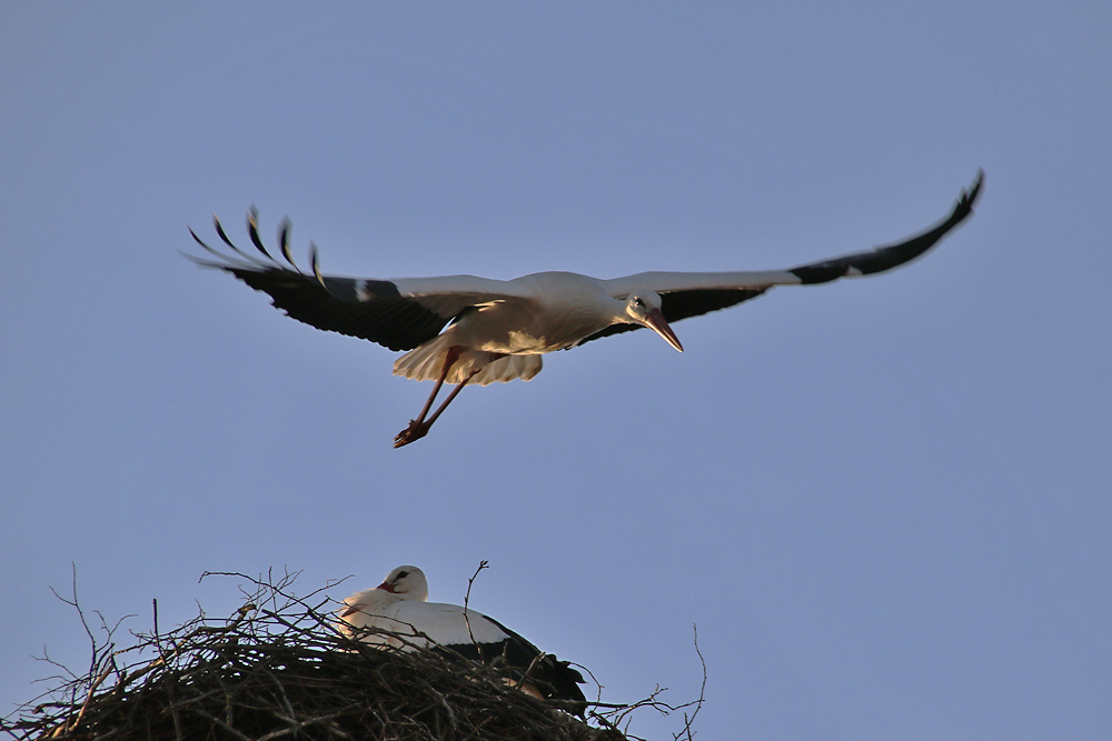 beim Abflug erwischt