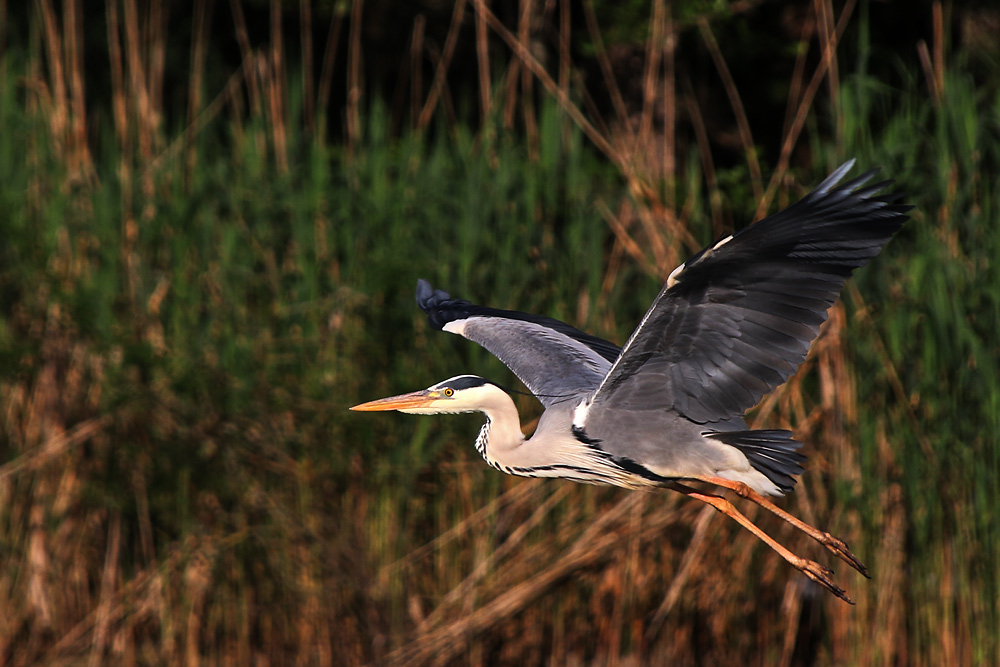 beim Abflug erwischt