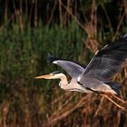 beim Abflug erwischt