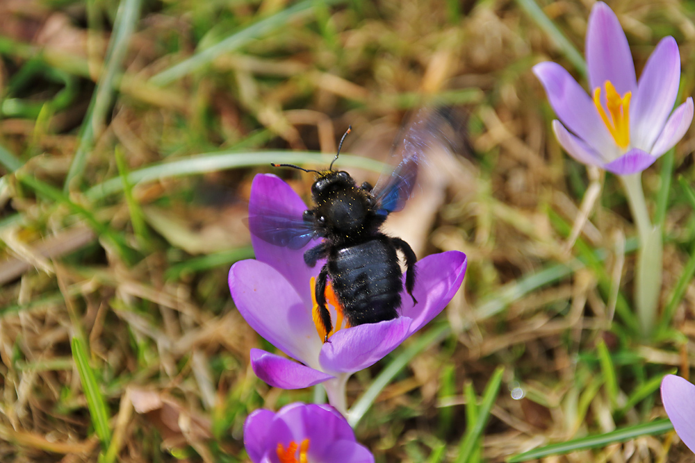 beim Abflug erwischt