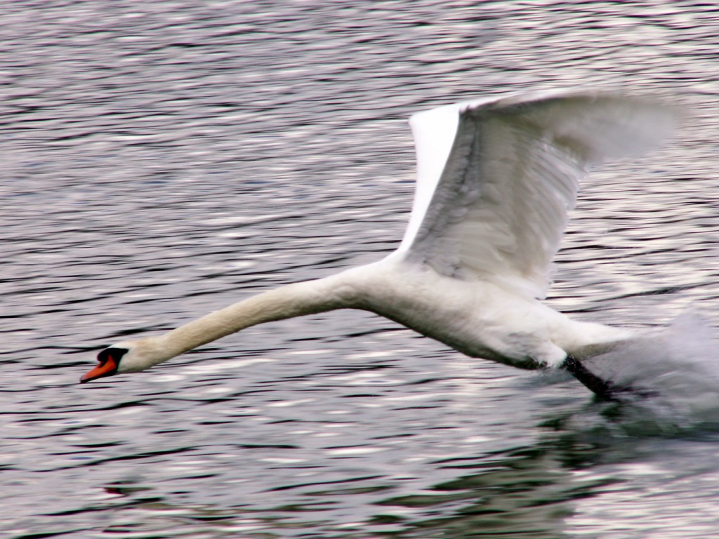 Beim Abflug