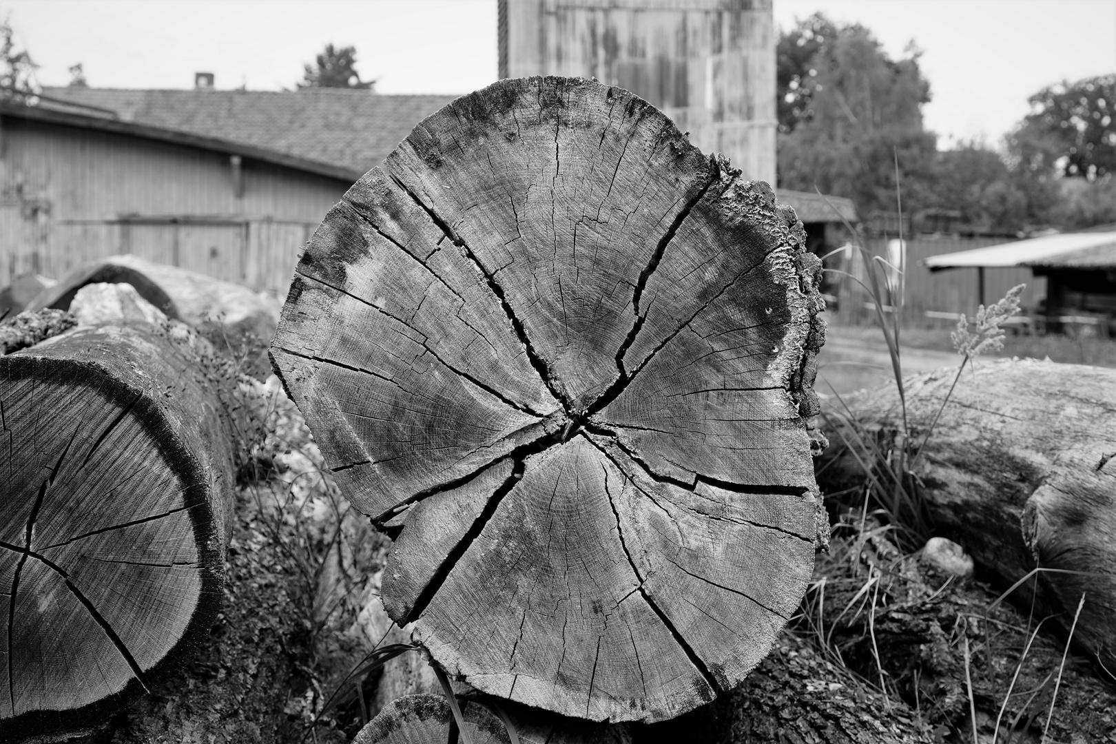 beim alten sägewerk